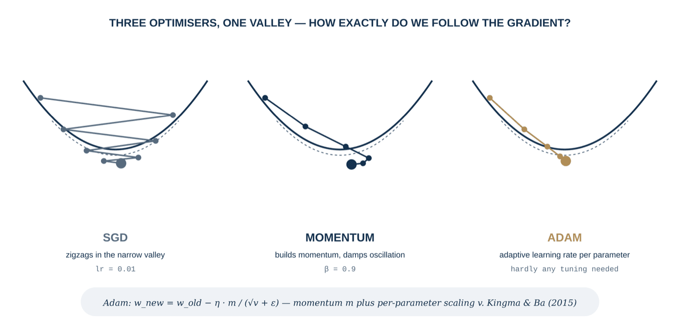 Drei Optimierer, ein Tal: SGD, Momentum, Adam